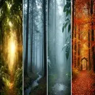 تست شخصیت شناسی : یک مسیر جنگلی را انتخاب کنید تا ویژگی شخصیتی شما را آشکار کنیم!