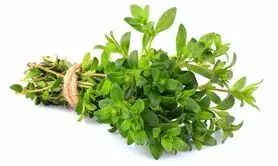 این گیاهان مخصوص پاکسازی کبد شما

