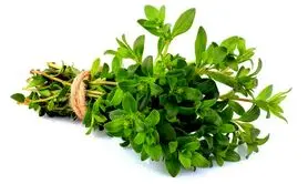 این گیاهان مخصوص پاکسازی کبد شما
