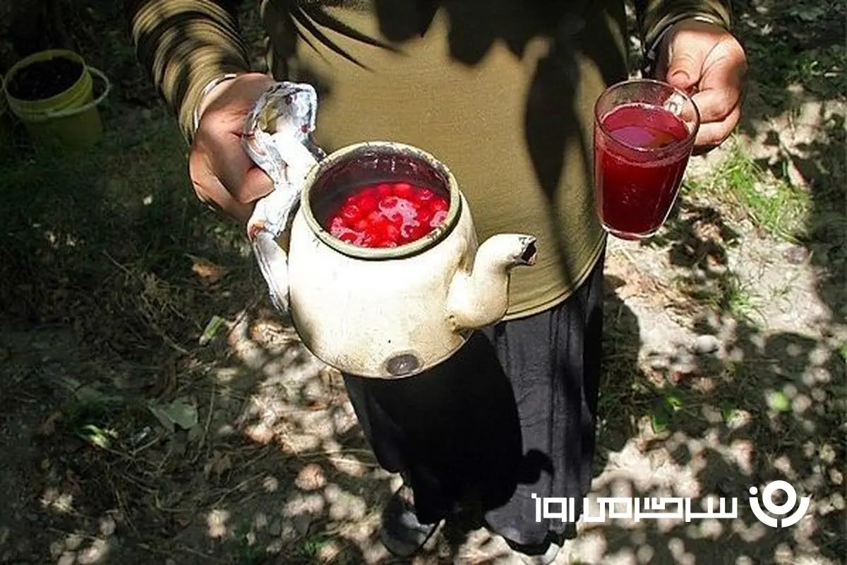 راز چای آلبالوی خوشمزه مادربزرگ ها فاش شد!/ نوشیدنی تابستانی محبوب قدیمی‌ها