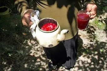 راز چای آلبالوی خوشمزه مادربزرگ ها فاش شد!/ نوشیدنی تابستانی محبوب قدیمی‌ها