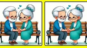 بازی فکری : آیا می‌توانید ۳ تفاوت زوج پیر را در ۱۴ ثانیه پیدا کنید؟