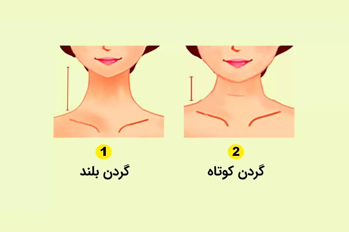 تست شخصیت شناسی | اگر میخوای شریک عاطفی یا دوستت رو بهتر بشناسی فقط کافیه به طول گردن اون دقت کنی