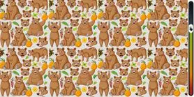 بازی فکری :  باید خیلی تیزبین باشی که بچه خرس و  تو ۶ ثانیه پیدا کنی!