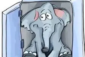 تست هوش |  اگه باهوشی سریع بگو، چگونه یک فیل را داخل یخچال جا می کنی!؟