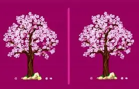 بازی فکری : این چالش ژاپنی اینترنت را تسخیر کرد؛ فقط تیزبین‌ها می‌توانند در ۷ ثانیه تفاوت‌های درخت گیلاس را پیدا کنند