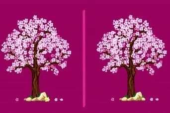 بازی فکری : این چالش ژاپنی اینترنت را تسخیر کرد؛ فقط تیزبین‌ها می‌توانند در ۷ ثانیه تفاوت‌های درخت گیلاس را پیدا کنند