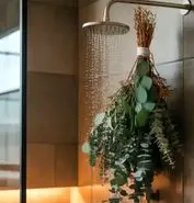 عمرا اگه میدونستی اکالیپتوس و باید تو حموم نگهداری! | ترفند طلایی استفاده از گیاه اکالیپتوس در حمام