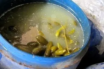 لایه سفید آب خیارشور فله ای مرگبار است؟