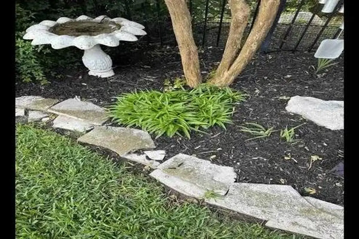 بازی فکری : از هر 1000 نفر فقط 1 نفر میتونه مار مخفی و پیدا کنه!