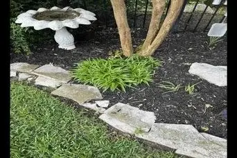 بازی فکری : از هر 1000 نفر فقط 1 نفر میتونه مار مخفی و پیدا کنه!