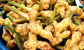 خواص بی نظیر خولنجان برای مردان که تا حالا کسی نمی دانسته