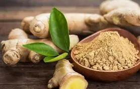 گیاهی مفیدتر از هر داروی مسکن 