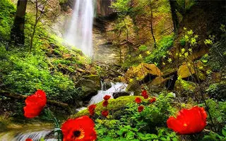 جنگل چهارباغ؛ بکرترین و زیباترین جنگل برای سفر پاییزی یکروزه