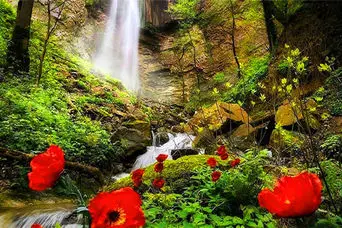 جنگل چهارباغ؛ بکرترین و زیباترین جنگل برای سفر پاییزی یکروزه