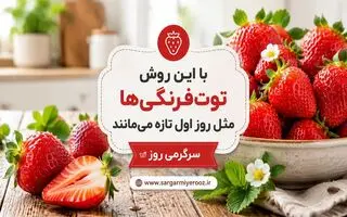 راز تازه ماندن توت‌فرنگی تا یک هفته؛ ترفندی که خیلی‌ها نمی‌دانند | با این روش توت‌فرنگی‌ها مثل روز اول تازه می‌مانند