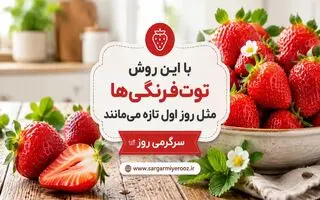 راز تازه ماندن توت‌فرنگی تا یک هفته؛ ترفندی که خیلی‌ها نمی‌دانند | با این روش توت‌فرنگی‌ها مثل روز اول تازه می‌مانند