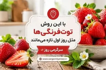 راز تازه ماندن توت‌فرنگی تا یک هفته؛ ترفندی که خیلی‌ها نمی‌دانند | با این روش توت‌فرنگی‌ها مثل روز اول تازه می‌مانند