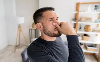 اگر کولر آبی شما بوی بد می‌دهد، این مطلب را از دست ندهید / ترفند 3 سوته از بین بردن بوی بد کولر