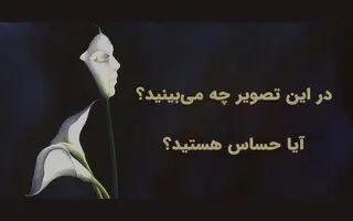 تست شخصیت شناسی | اولین چیزی که می‌بینید می‌گوید شما قلب حساسی دارید یا نه!
