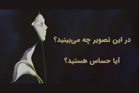 تست شخصیت شناسی | اولین چیزی که می‌بینید می‌گوید شما قلب حساسی دارید یا نه!