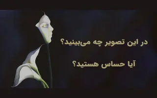تست شخصیت شناسی | اولین چیزی که می‌بینید می‌گوید شما قلب حساسی دارید یا نه!