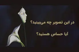 تست شخصیت شناسی | اولین چیزی که می‌بینید می‌گوید شما قلب حساسی دارید یا نه!