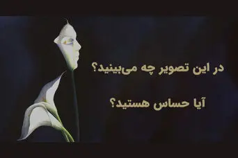 تست شخصیت شناسی | اولین چیزی که می‌بینید می‌گوید شما قلب حساسی دارید یا نه!