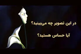 تست شخصیت شناسی | اولین چیزی که می‌بینید می‌گوید شما قلب حساسی دارید یا نه!