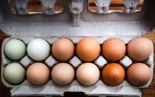 تخم‌مرغ قهوه‌ای  بهتر است یا  تخم‌مرغ سفید ؟