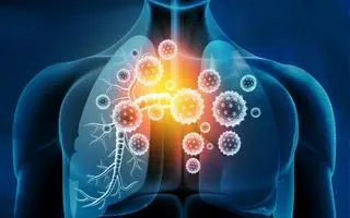 ریه‌هاتان را از آلودگی نجات دهید؛ پاکسازی ریه با دو ویتامین معجزه‌گر! 