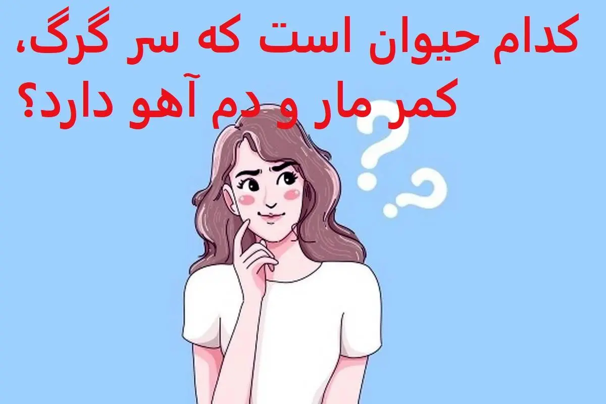 چیستان روز :  کدام حیوان است که سر گرگ، کمر مار و دم آهو دارد؟ 