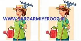 اگه فکر میکنی زرنگی تو 11 ثانیه 3 اختلاف عکس هارو پیدا کن | تست هوش