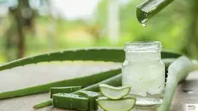 اگر پوستی همچون شیشه می خواهید بخوانید ؛ پوست خود را به این گیاه بسپارید

