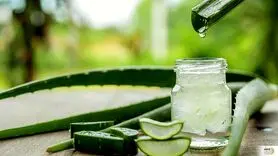 اگر پوستی همچون شیشه می خواهید بخوانید ؛ پوست خود را به این گیاه بسپارید

