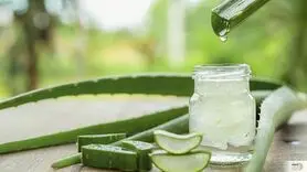 اگر پوستی همچون شیشه می خواهید بخوانید ؛ پوست خود را به این گیاه بسپارید

