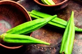 مصرف خورشت این صیفی در ناشتای صبح بیماری قند خون را از بین می برد

