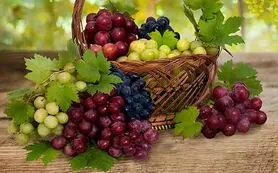  با این میوه ضد آلزایمر لاغر شوید 