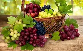  با این میوه ضد آلزایمر لاغر شوید 
