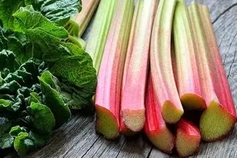 طرز تهیه ریواس تنوری؛ ساده و خوشمزه