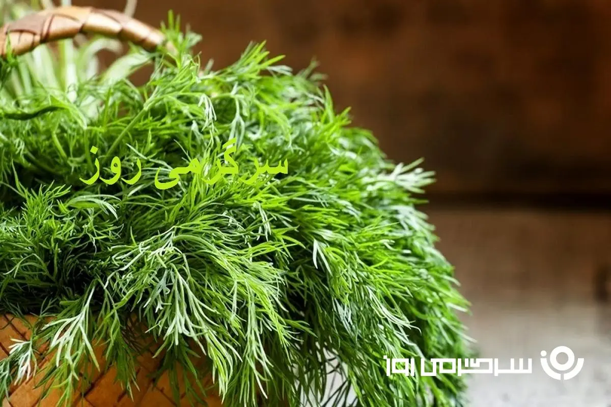 این سبزی برای همه چیز مفید است