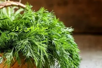 تقویت قوای جنسی مردان و کاهش قند خون با این سبزی دم دستی