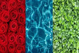 طالع بینی | یک رنگ انتخاب کن و طالعت برای این هفته رو بخون