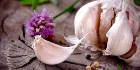 برای 100 برابر شدن انرژی روزانه از این صیفی سفید بخورید + قاتل فشا رخون و پالایش سموم بدن در 10 دقیقه