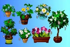 با انتخاب یک گل بفهمید از گذشته درس گرفته اید یا نه؟