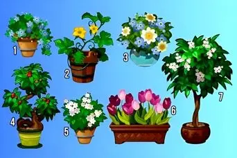 با انتخاب یک گل بفهمید از گذشته درس گرفته اید یا نه؟