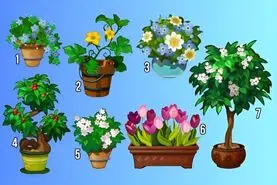 با انتخاب یک گل بفهمید از گذشته درس گرفته اید یا نه؟