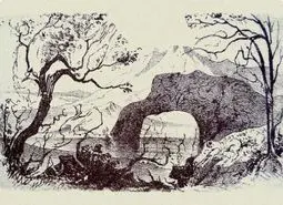 بازی فکری : فقط اونایی که دید خلبانی دارن می توانند تمام 10 حیوان را پیدا کنند!