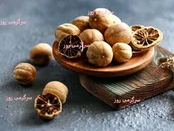 آموزش تهیه لیمو عمانی خانگی و پودر آن | ترفند بازاری و بدون تلخی لیمو عمانی خانگی