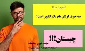 چیستان روز | کدام میوه است که سه حرف اولش نام یک کشور است!؟

